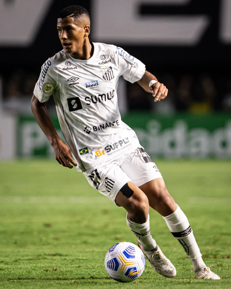 为张呈栋提 为张呈栋提