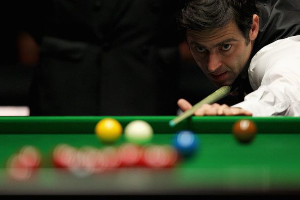 标签多见R 标签多见R