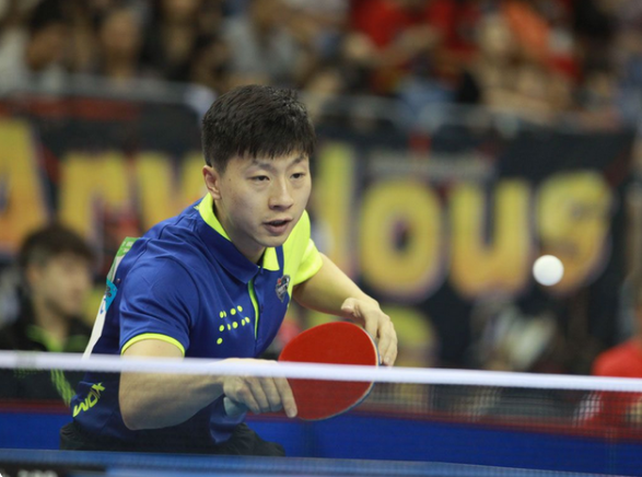 王哲林状态 王哲林状态